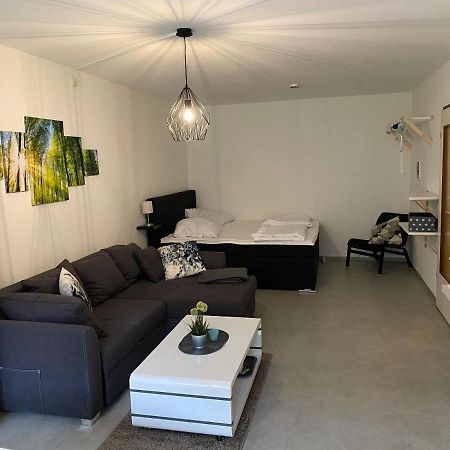 Ferienwohnung Schneewittchen Altenau  Extérieur photo